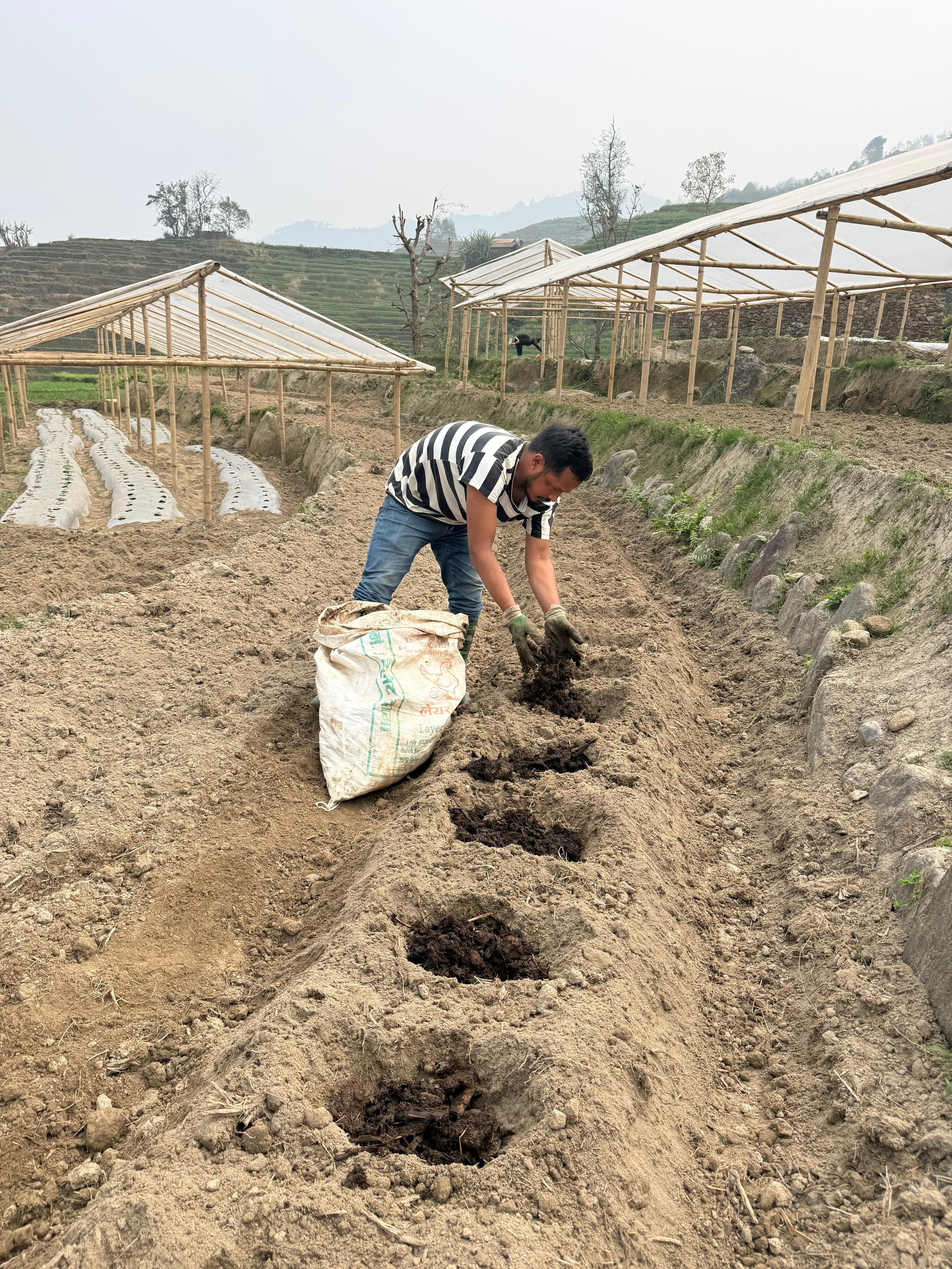 On-farm crop trial work — LOFAM