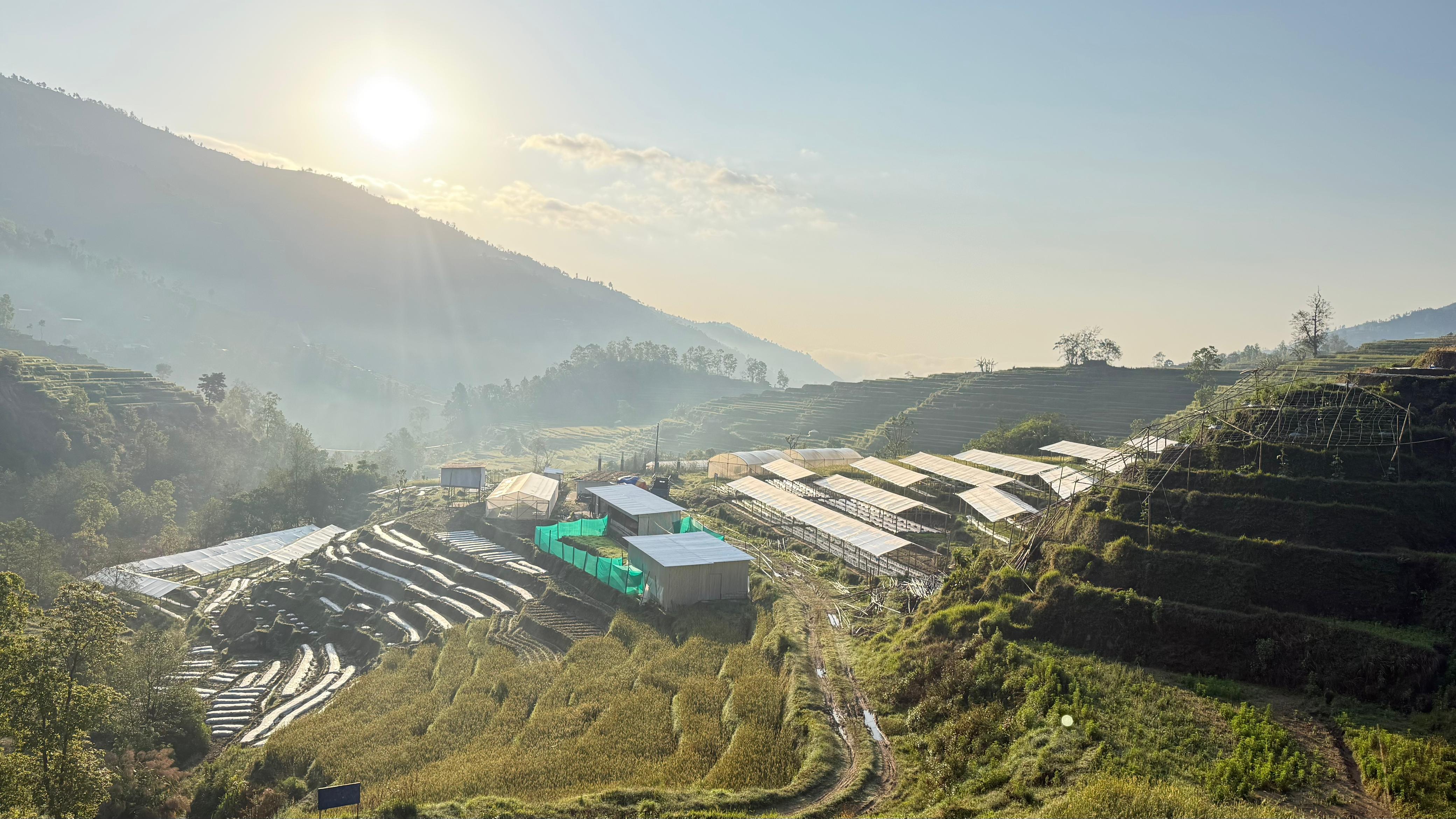 Terraced fields at 1600m