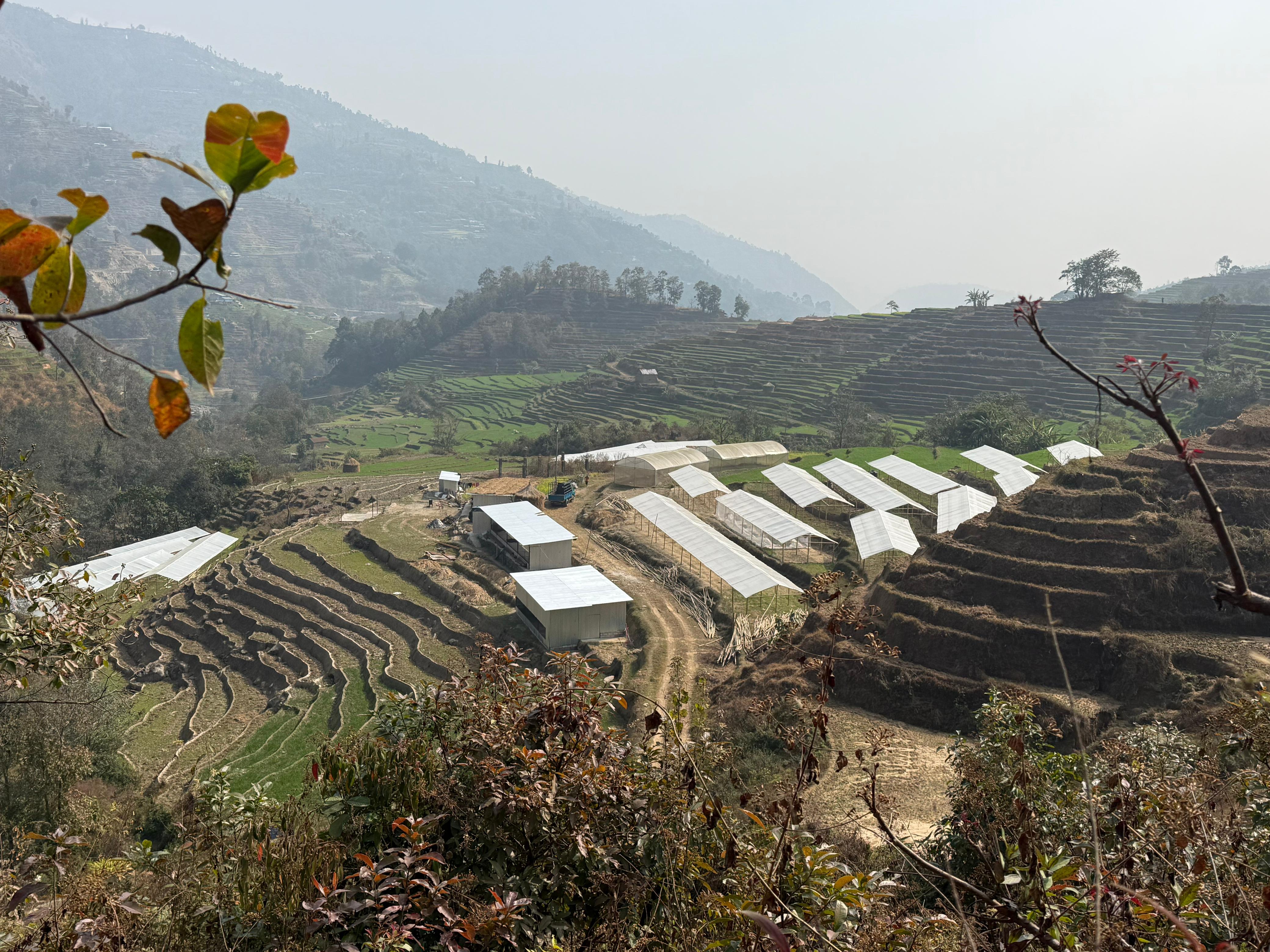 Water management system