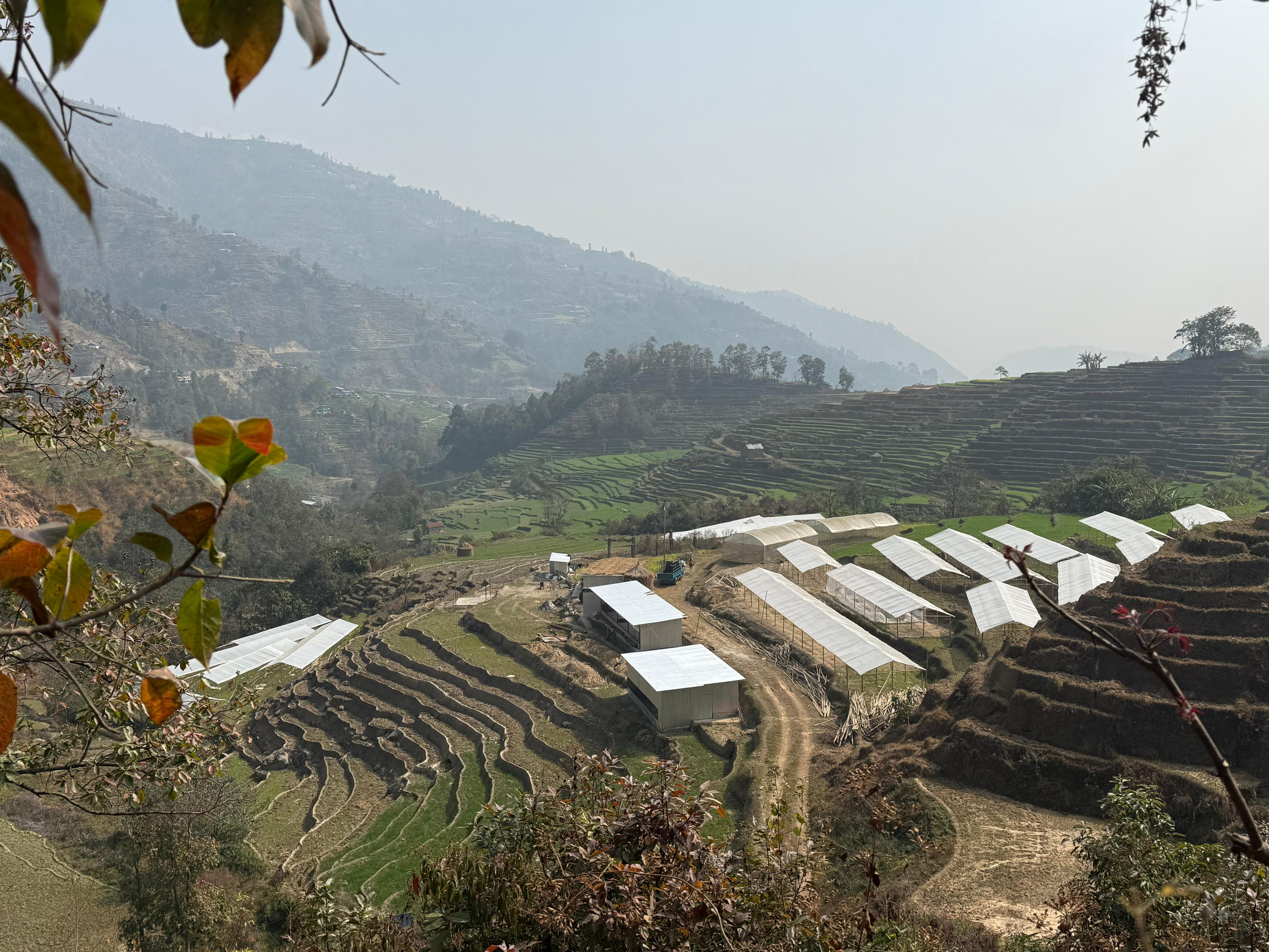 Mountain altitude farming