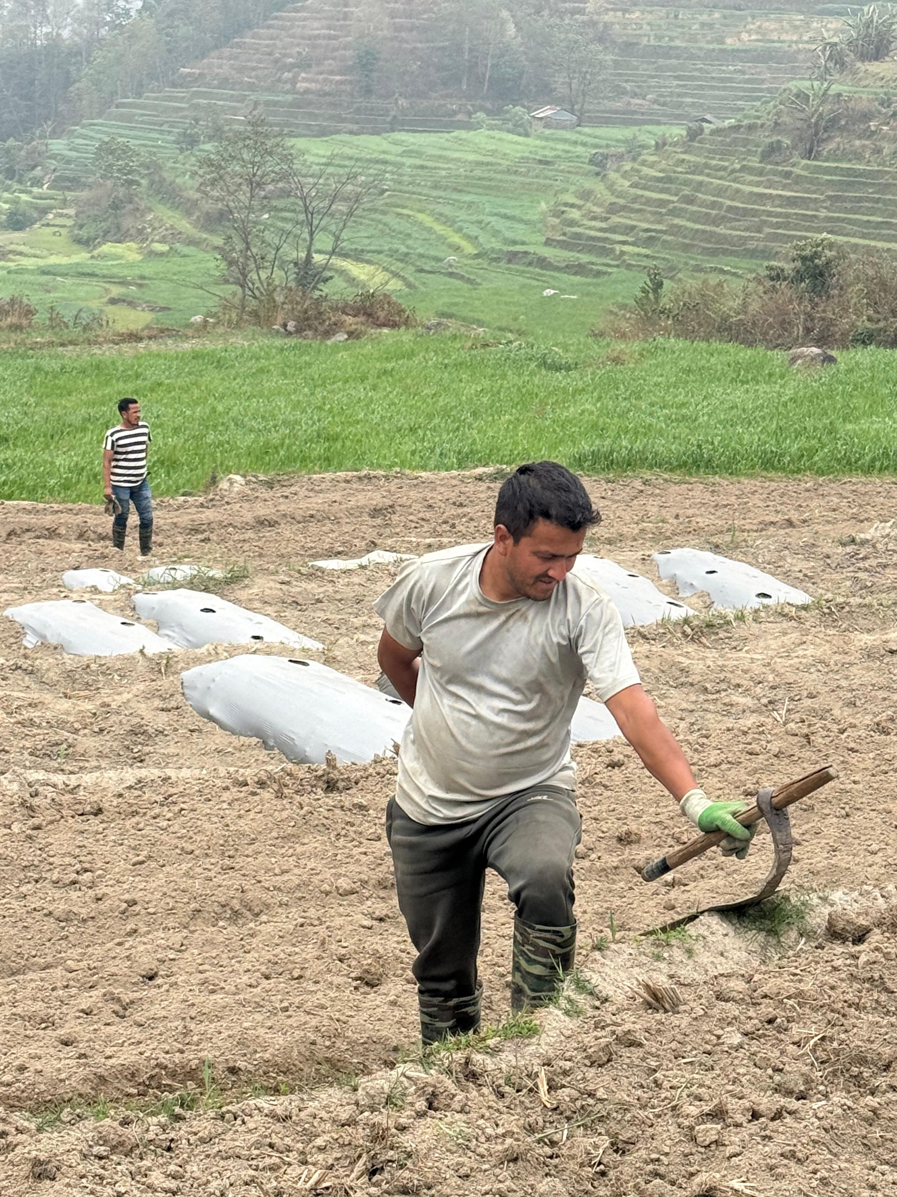 Field research and crop rows — LOFAM