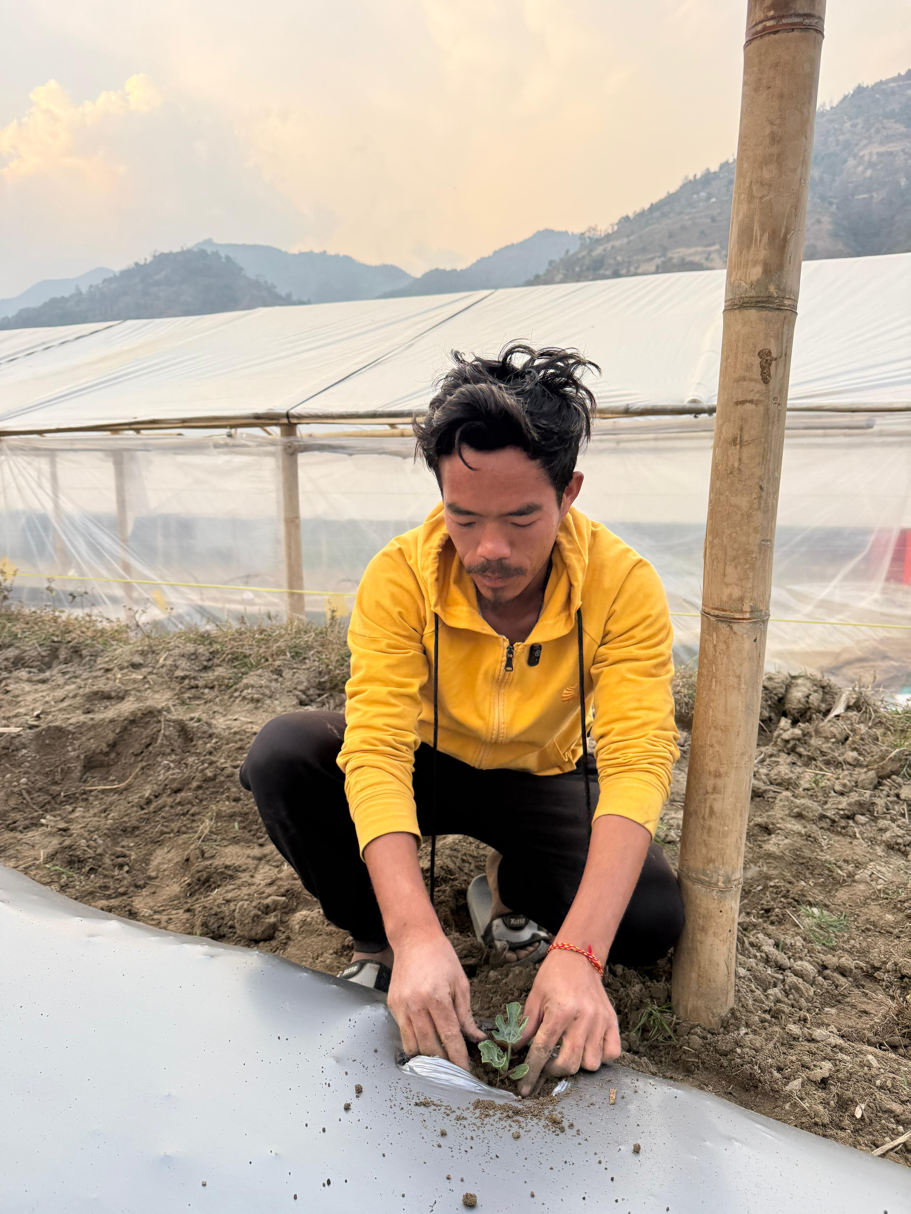 On-farm trial documentation