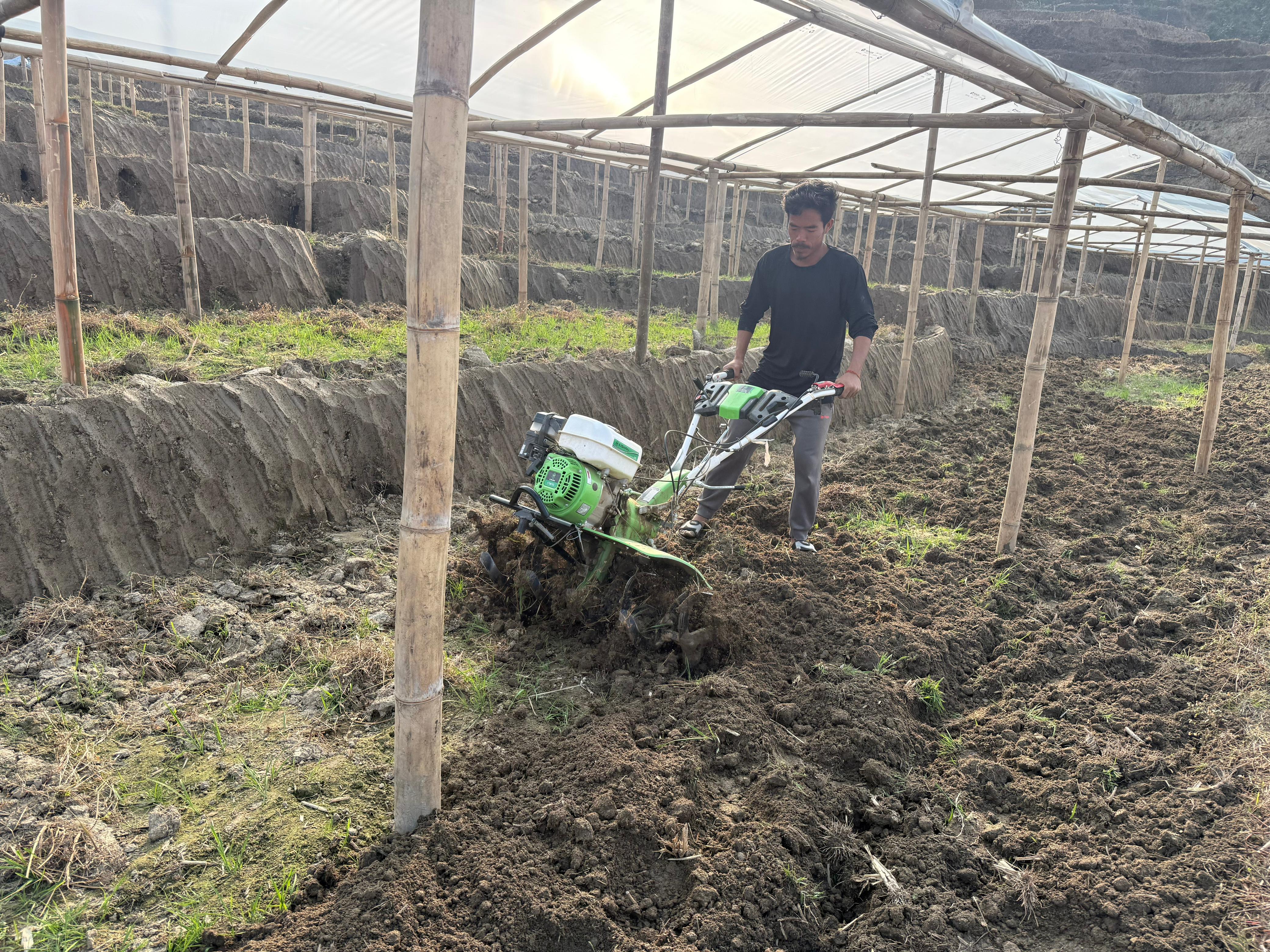 Impact metrics — LOFAM